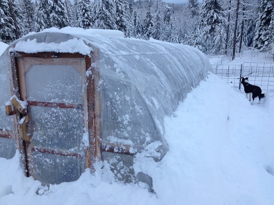 Chicken Heated Green House