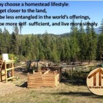 I’m Thinking About Homesteading, What Now? Part 1