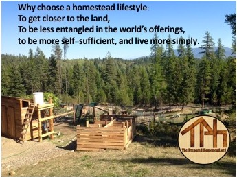 I’m Thinking About Homesteading, What Now? Part 1