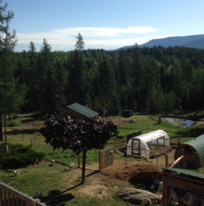 Preparedness and Homestead Teaching North Idaho