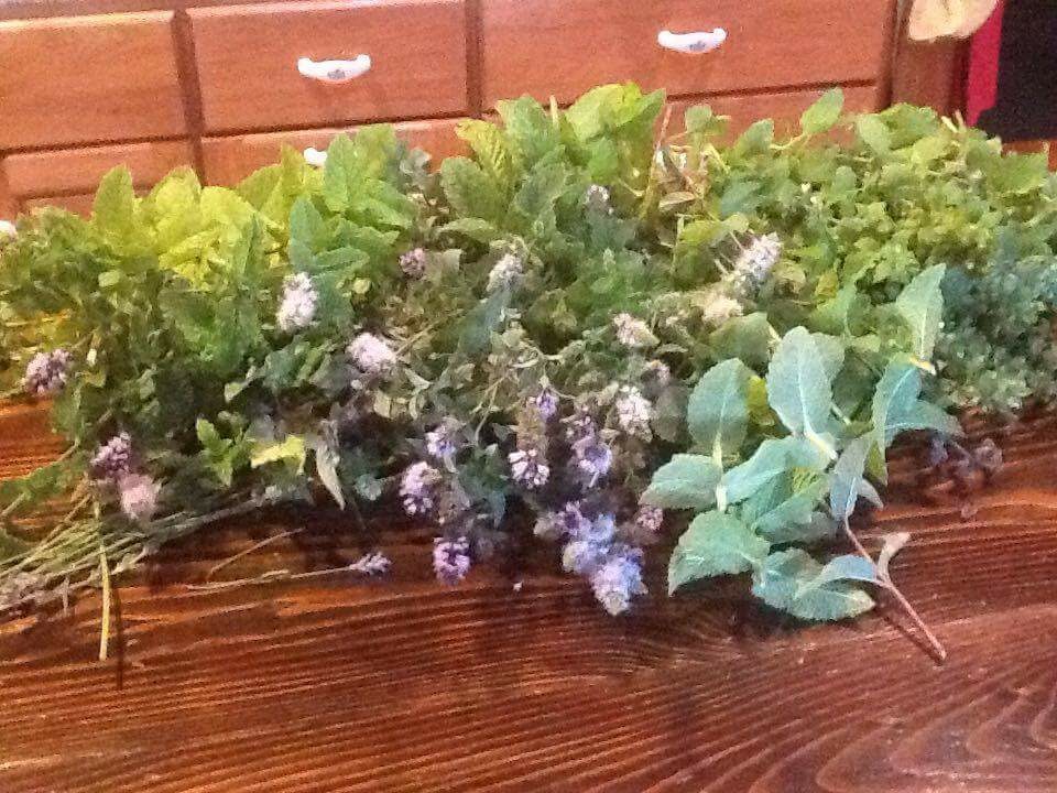 Beginning Your Medicinal Herb Garden