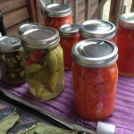 Canning Season and the Rocket Stove