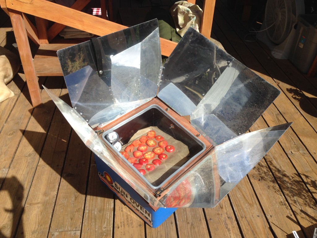 Sun Dried Tomatoes in the Sun Oven (day 5)