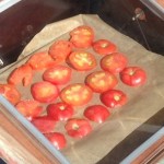 Sun Dried Tomatoes in the Sun Oven (day 5)