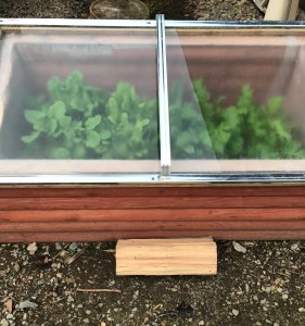 Cold Frame