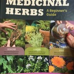 Starter Book on Herbs