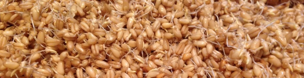 Wonder Woman & Sprouted Wheat Bread