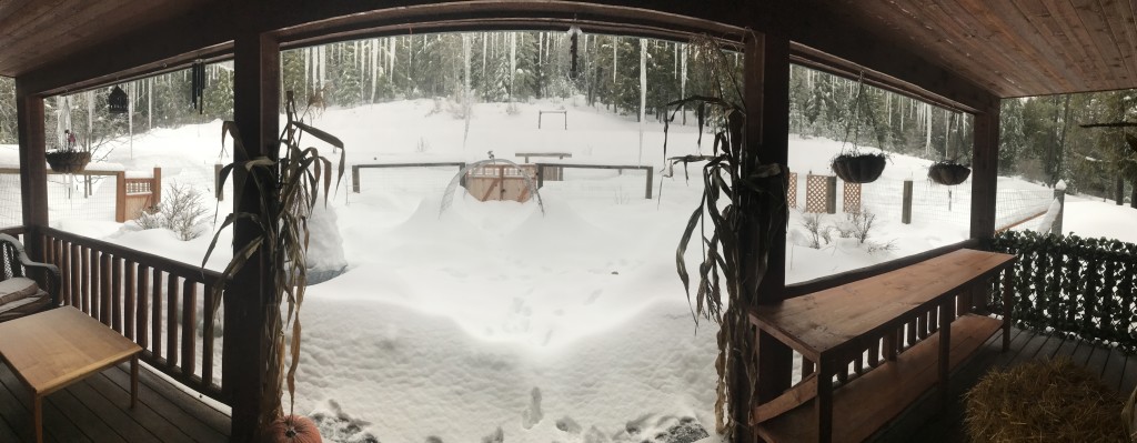 Culinary and Medicinal Garden Snowpocalypse!