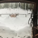 Culinary and Medicinal Garden Snowpocalypse!
