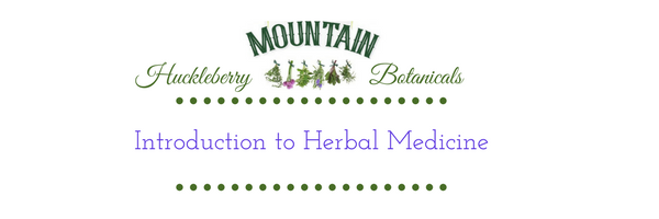 Intro to Family Herbal Medicine Course
